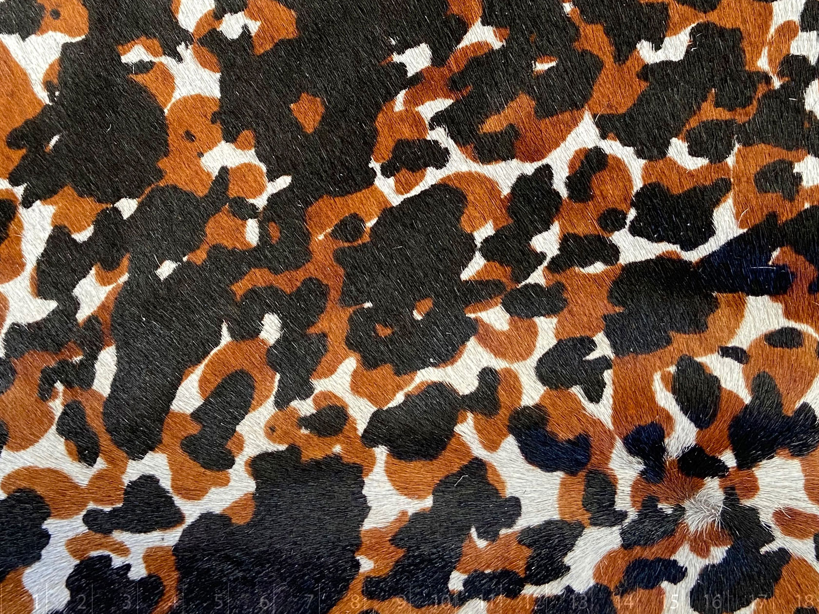 STENCIL APPALOOSA BEIGE BITONO BEIGE BITONO - Tenería Pieles Conac l ...