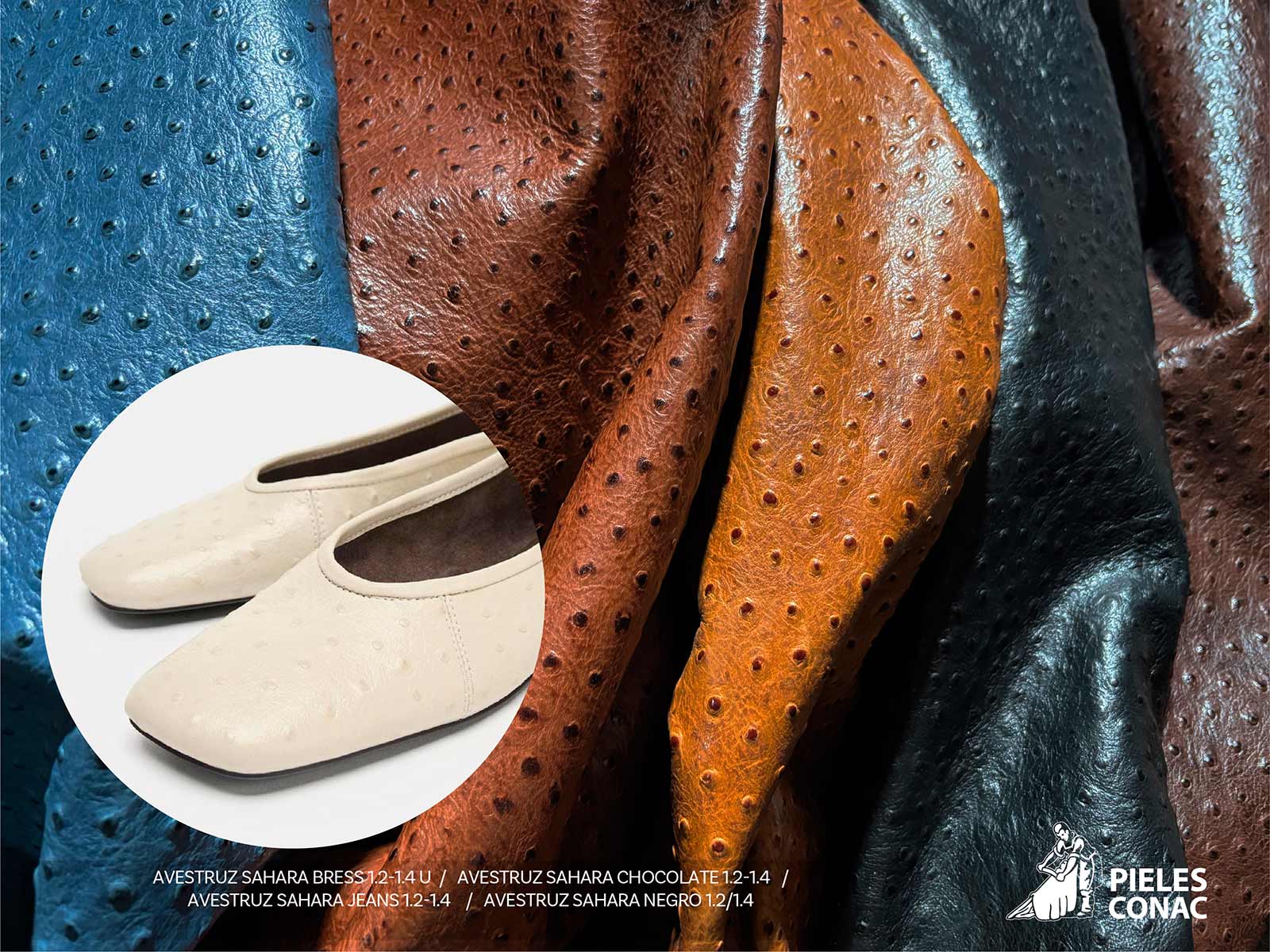 OTOÑO INVIERNO 26-27, ESTAMPAS